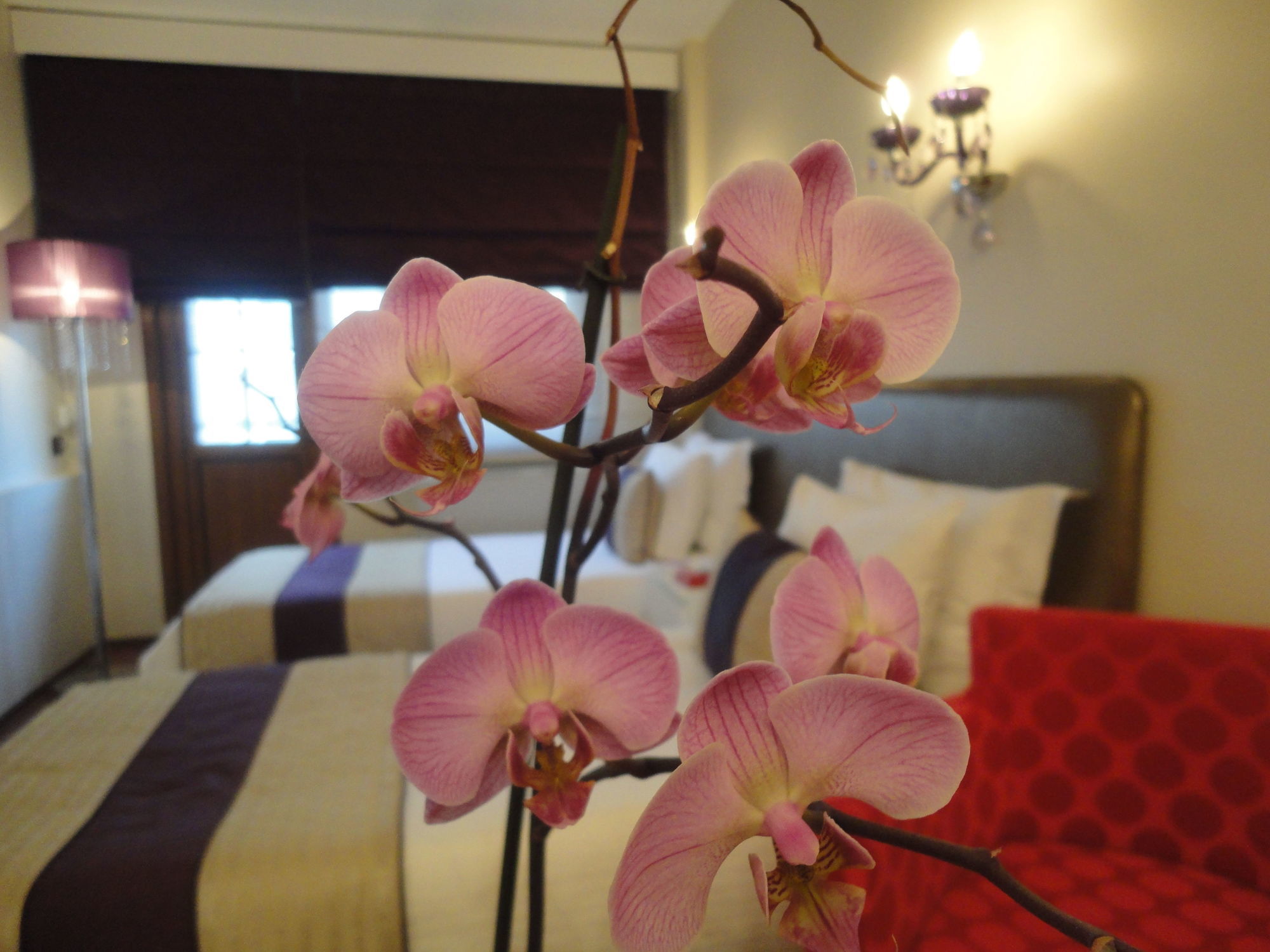 Bakirkoy Tashan Business & Airport Hotel Istanbul Eksteriør billede